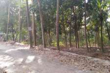 38 Cent Near Nellimoodu Junction, Thiruvananthapuram