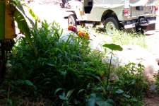 5 cent square plot in keralapuram perumpuzha road