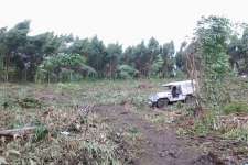 5.45 acre land best for resort, farmhouse, engineering college in Munnar