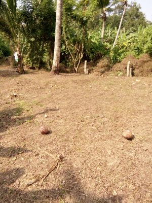 11.5  cents  of land for sale near indira nagar, peroorkada