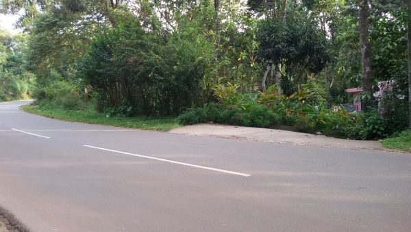 15 cents in road side....