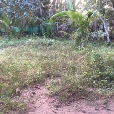 5 cent plot for sale, Alapuzha, Muthukulam