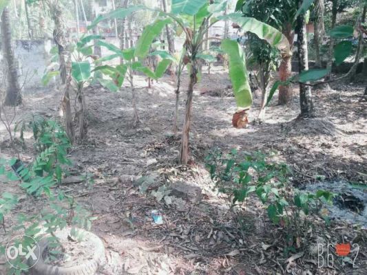 5 cent land in pavangadu, calicut