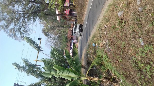 38 cents  roadside square plot ,Mannarakulanji Market Junction,Pathanamthitta