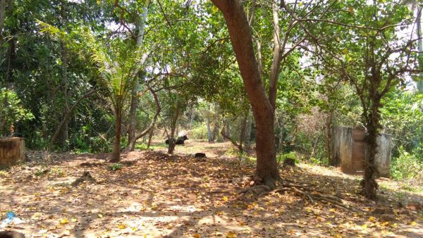 48 cent of land at Nedunganda, near varkala