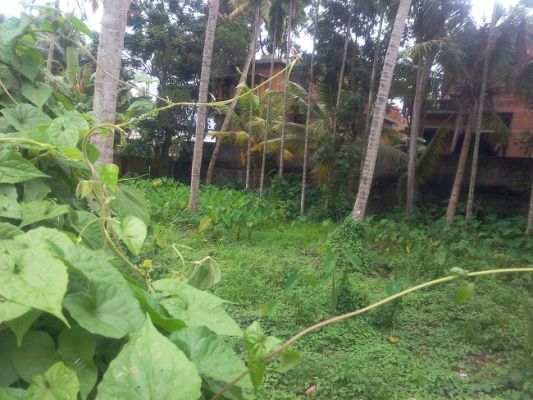 12 cents of land in Thrippunithura-Eroor