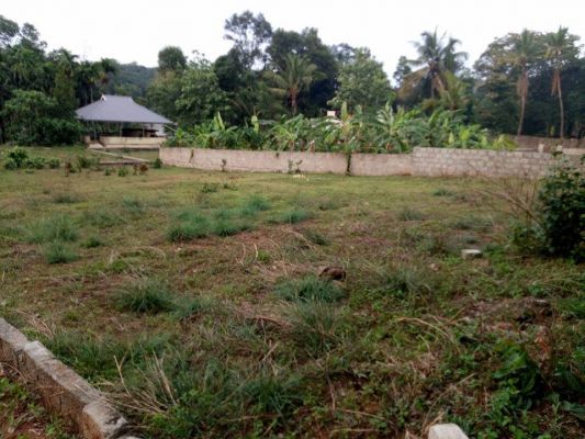 7 cents of land in Thiruvankulam-Vellikulam