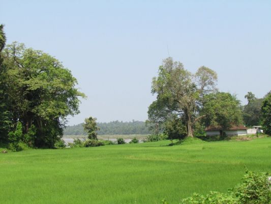 68 Cents River front Residential land Ottappalam