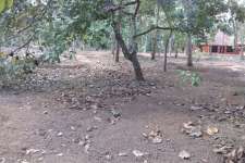 Plot and individual house For sale immediatly