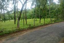 40 cent residential plot available at Valliyode Vadakkencherry