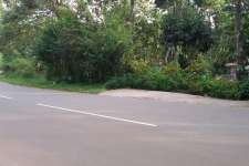 15 cents in road side....