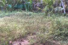 5 cent plot for sale, Alapuzha, Muthukulam