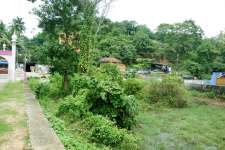 32 cents ,suitable for constructing shopping complex ,villas, houses etc. By the side of MC.Road.
