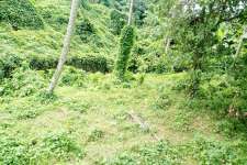 14 cents suitable for constructing house,Kilimanoor