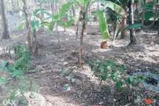5 cent land in pavangadu, calicut