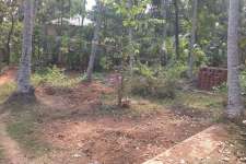 7 cent residential plot for urgent sale at Chelannur, Kozhikode