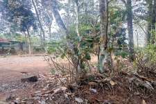 13 cents of land in Udayamperoor-Kandanad