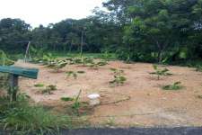 6.50 cents of land in Chottanikkara-Eruveli
