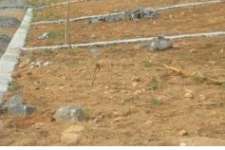 Plot For Sale ( Residential Plot) Thiruvallam - Trivandrum - 4 CENT