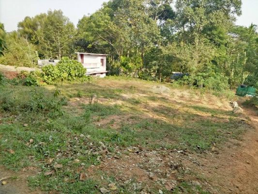 10 cents of land in Vattukunnu for sale