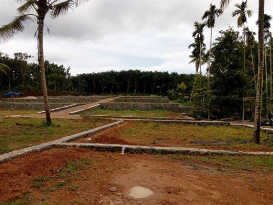 8,5 cents of house plot in Chottanikkara - Eruveli