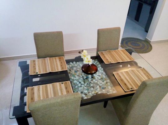 Fully furnished new house for rent