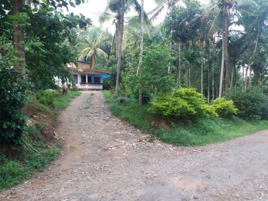 1.50 acer land+home and well going dairy farm.monthly 1.50 income