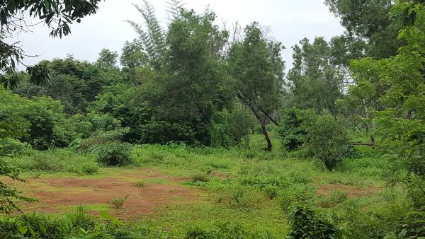 36 cents of land near MES Engineering College Kuttipuram