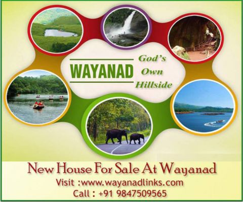 New House For Sale At Wayanad Wayanadlinks