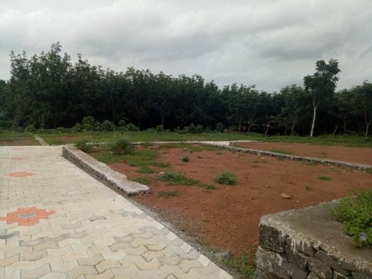 4,5,6,10 cents of land in  thalakodu ,chottanikkara for sale