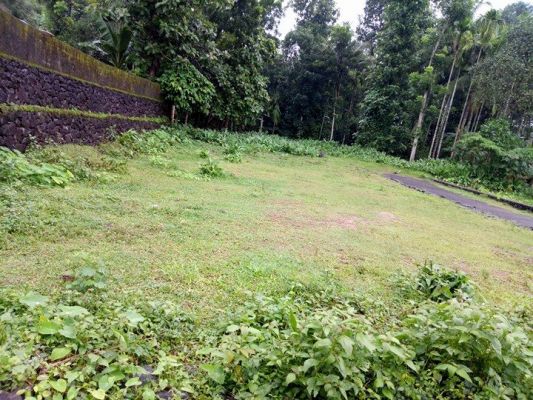 7 cent of land in chottanikkara  for sale