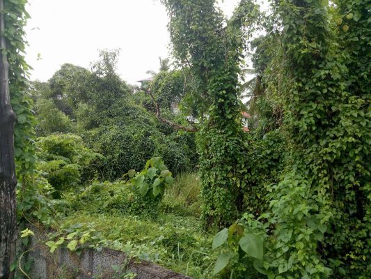 30 cent of land in Maradu ,Ernakulam for sale