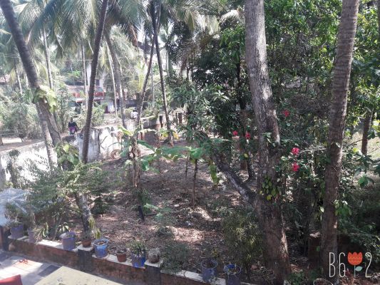 6 cent land in pavangadu, calicut