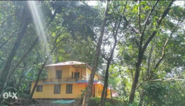 Good residential property in 50 cent plot in poyyamala kelakam