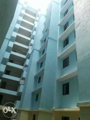 3BHK new apartment  for rent