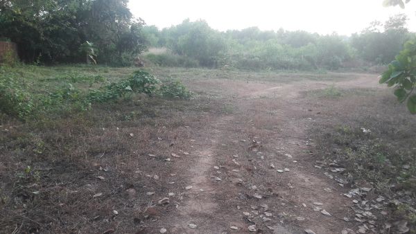 30.5 cent of property near kannur international airport