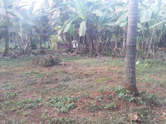 LAND NEAR MAVOOR ROAD KOZHIKODE