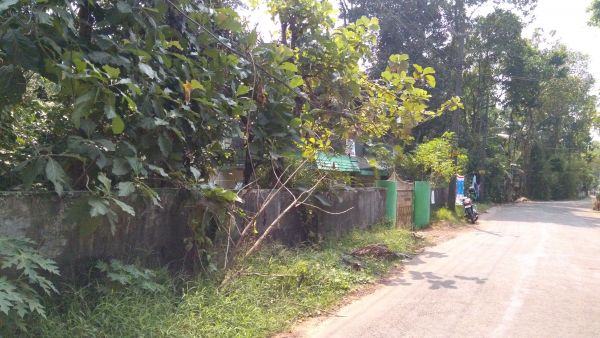 17 cent plot & house for sale near to Kottayam medical college
