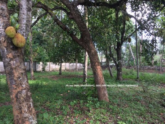 20 cent residential  plot near Chathanoor LIC Building