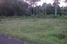 13.5 cents of land in Thirumoolapuram, TVLA @3L per cent Negotiable