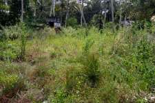 15 cent plot in St andrews . Kazhakootam