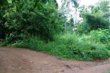 15 cents of residential land for sale in Marathakkara