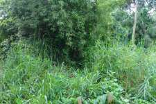 5cent commercial land for sale in puzhakkal