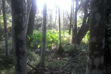 39 and half cent land in chemenchery,kozhikode