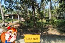 12 cents of land in mokeri, panoor