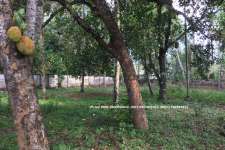 20 cent residential plot near Chathanoor LIC Building