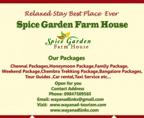 Spice garden farm house is an ideal farmstay at Wayanad