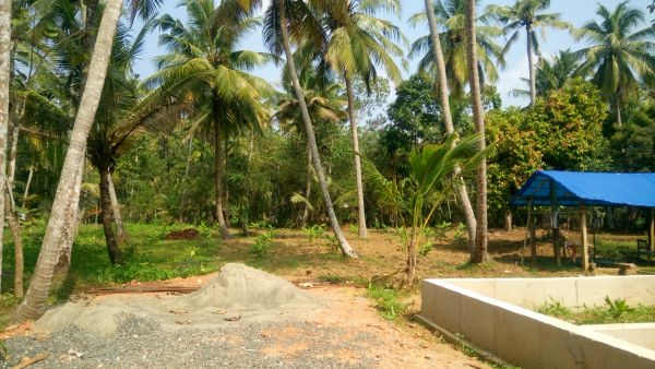 30 to 40 cent  residential land near indo american hospital and kalathil resort