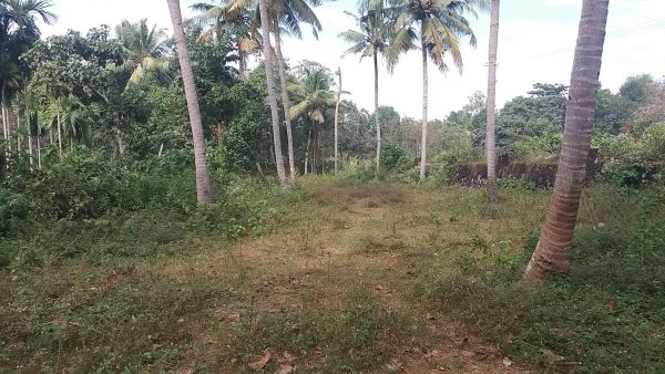 (9 ground approx 50 cent) Cherupoika, Pavithreswaram village, Kottarakkara Talk, Kollam