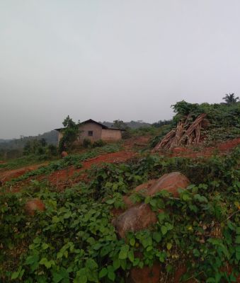 8 acres of land suitable for plantation
